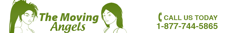 Angel's Moving Services